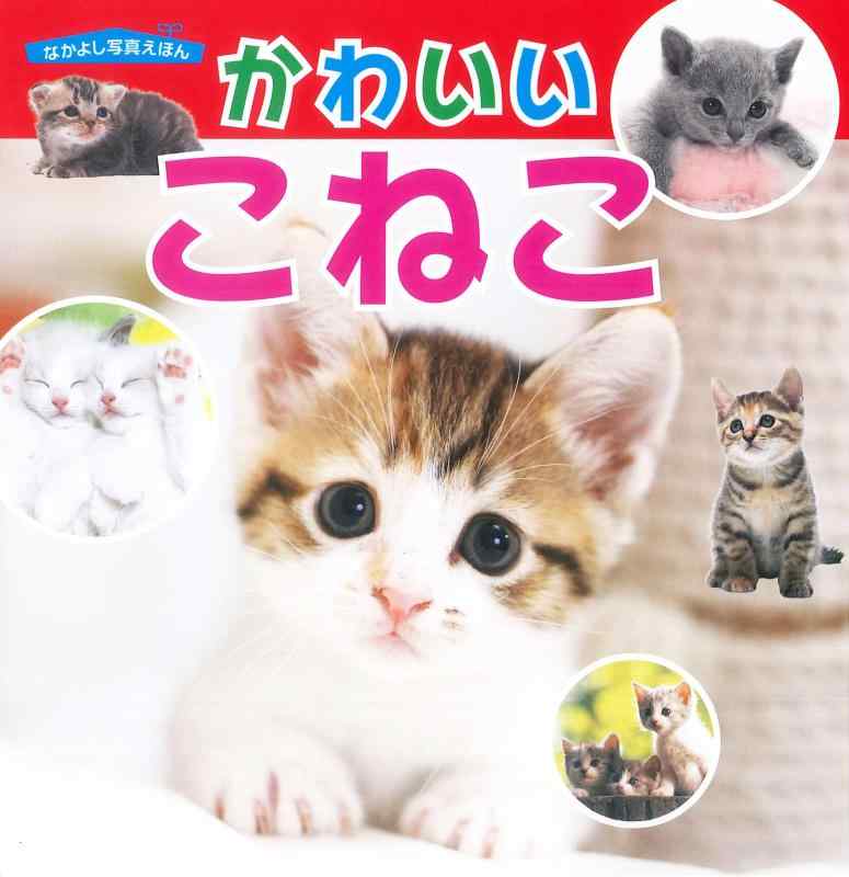 【中古】かわいいこねこ (なかよし写真えほん)