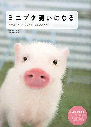 【中古】ブタ・ミニブタ実験マニュアル?飼育管理から、関連法規、実験手技、周術管理まで ブタ・ミニブタ実験マニュアル 飼育管理から、関連法規、実験手技、周