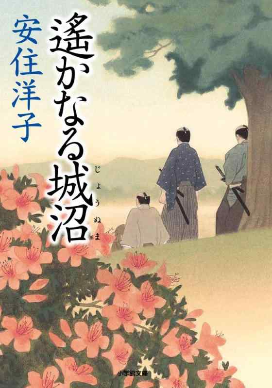 【中古】遙かなる城沼 (小学館文庫 5-4)