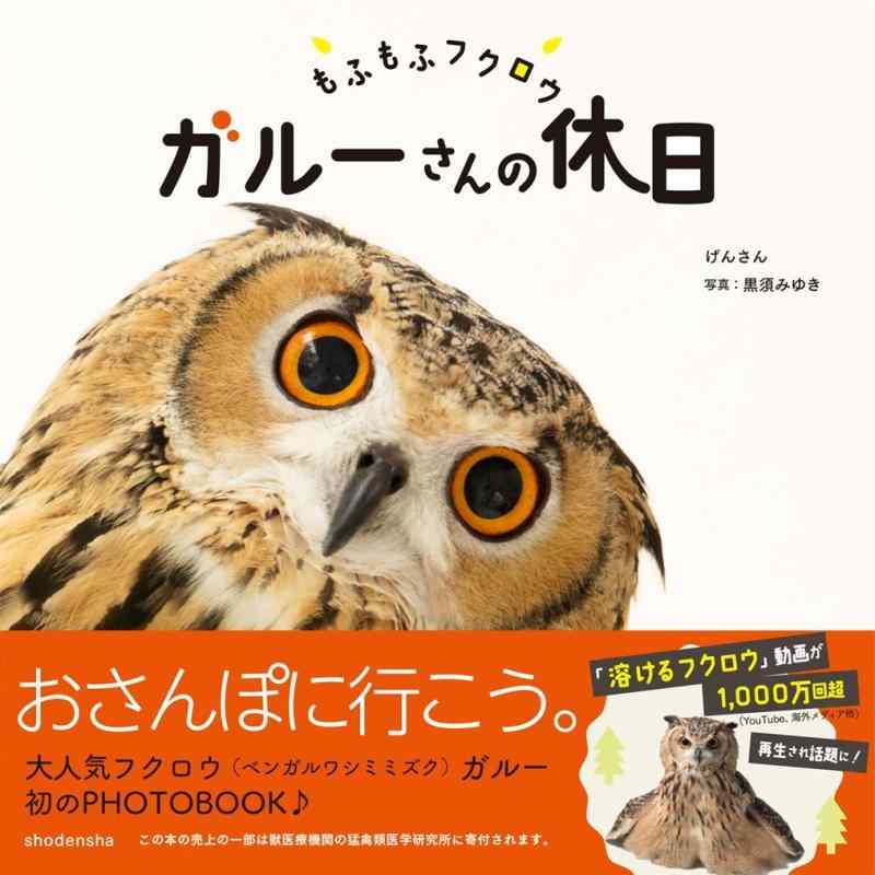 【中古】もふもふフクロウ ガルーさんの休日 linears-11079006 LINEAR shop パッケージ画像