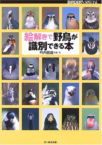 【中古】絵解きで野鳥が識別できる本 (BIRDERスペシャル)