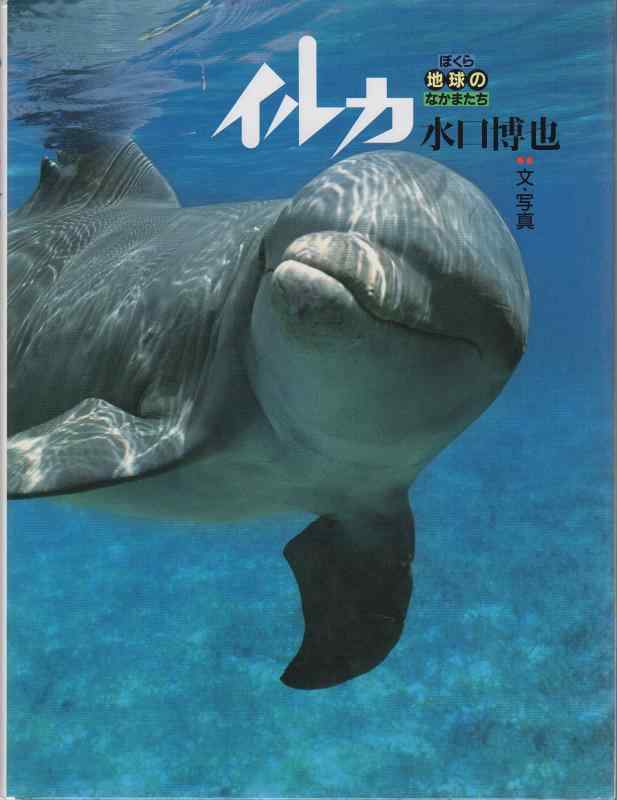 Toilet Articles - 【中古】イルカ (ぼくら地球のなかまたち 1)