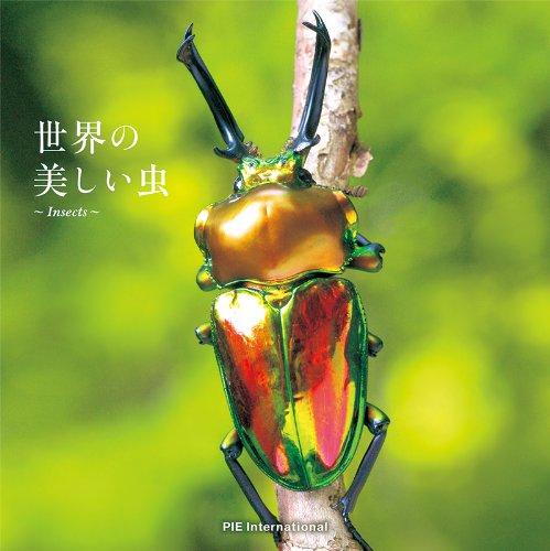 楽天市場】美しい虫の通販
