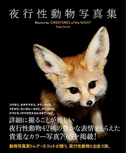 【中古】夜行性動物写真集 (SPACE SHOWER BOOKs)