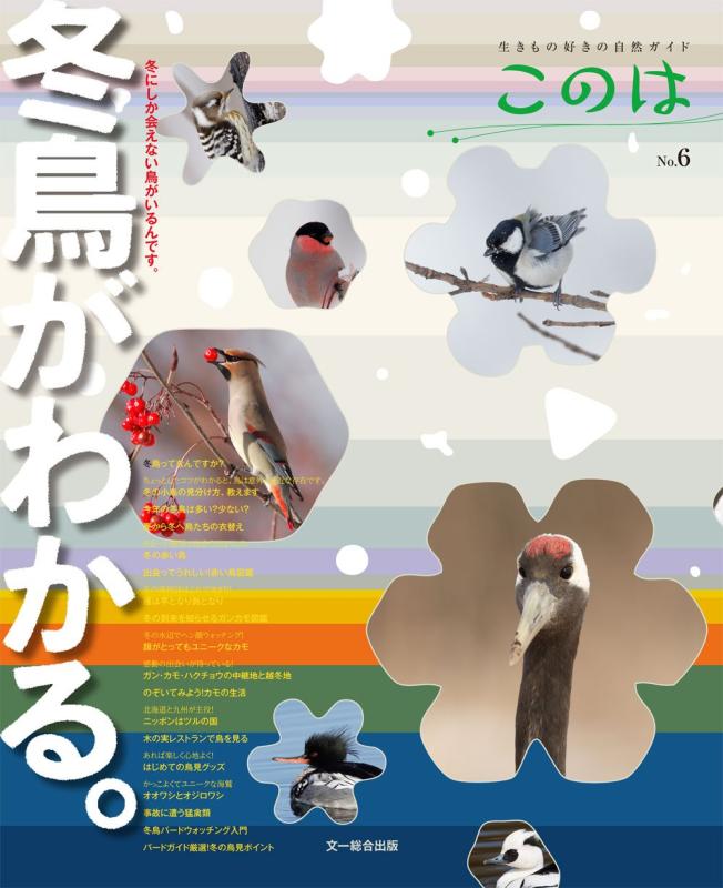 【中古】冬鳥がわかる。 (生きもの好きの自然ガイド このは No.6)
