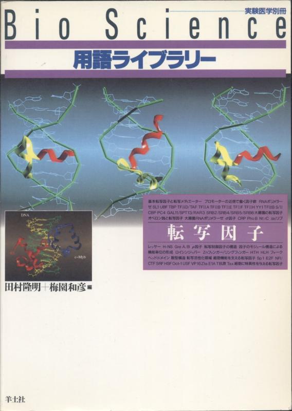 転写因子 BL3 (Bio science用語ライブラリ- 3)