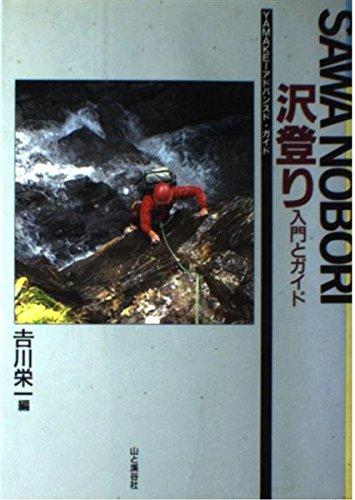 沢登り入門とガイド (YAMAKEIアドバンスド・ガイド)