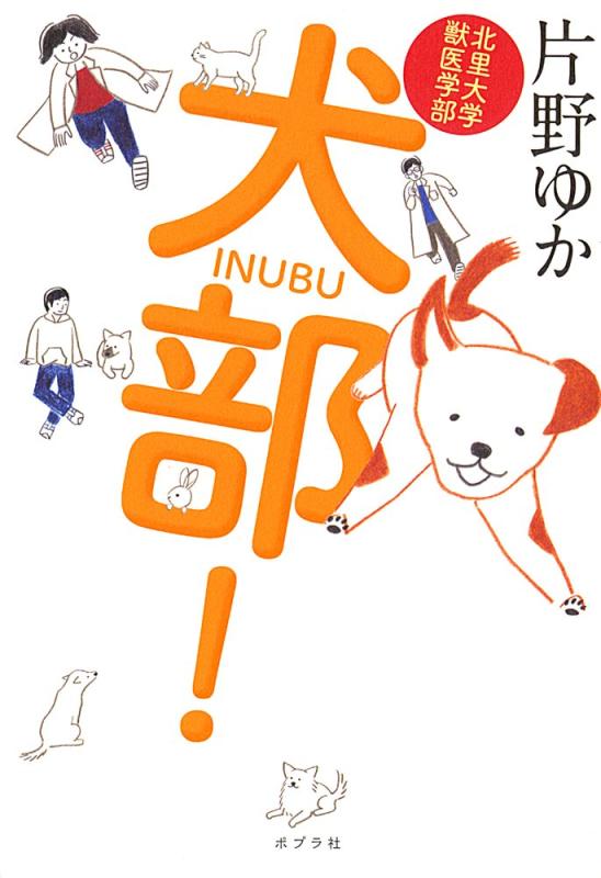 【中古】北里大学獣医学部 犬部 linears-11388623 LINEAR shop パッケージ画像
