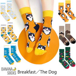 BANANASOCKSХʥʥåBreakfastTheDogSetݡľ͢ݡȡ롼ååȥǺʼ2WAYȥåեߥ˥ޥ롦⡼