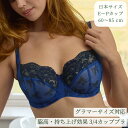 大きいサイズ グラマーサイズ ブラ【予約】ワイヤー入りバルコニーブラ Nina by Panache eカップ fカップ gカップ hカップ iカップ jカップ kカップ lカップ mカップ nカップ 脇高 リフトアップブラ サポートブラ 海外ブラ ブルーボウ 青