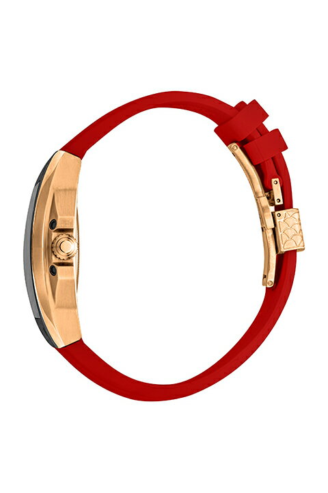 Roberto Cavalli by FRANCK MULLER ロベルト・カヴァリ バイ フランク・ミュラー RV1G205P1051{RCF1177-BDS}