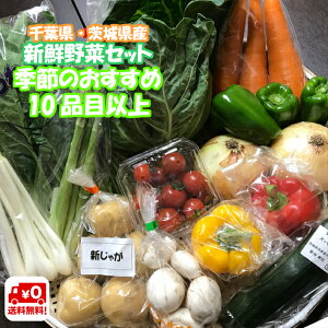 千葉県産 ・ 茨城県産 旬 詰め合わせ 産直 野菜 10品目以上 新鮮 採れたて 野菜セット 夏季クール便対応 (別途送料がかかります)