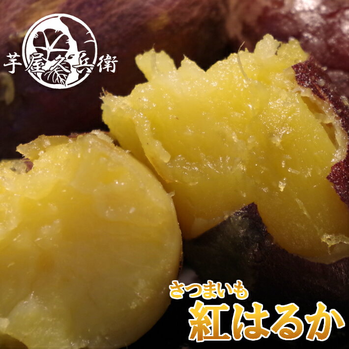 茨城県産 紅はるか さつまいも S Mサイズ 5kg サツマイモ まとめ買い セット 大容量 食材 野菜 自社農場 自社栽培 スイーツ 料理 芋【送料無料】