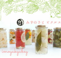 みずのさとピクルス pickles 酢漬け 漬物 おつまみセット 贈答用 お歳暮