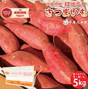 茨城県産 紅はるか さつまいも 5kg サツマイモ ねっとり しっとり まとめ買い 箱 箱買い セット 大容量 食材 野菜 自社農場 自社栽培 自社農園 スイー...
