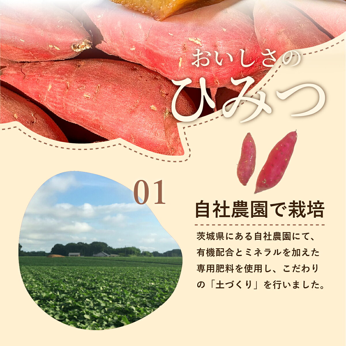 芋屋久兵衛の【冷凍】茨城県産 紅はるか 芋屋久兵衛 冷凍 焼き芋 小分け セット 500g×2袋(1kg) 500g×4袋（2kg) 500g×6袋(3kg) 焼きいも 熟成 追熟 濃厚 さつまいも 国産 自社栽培 自社農園 国産 ねっとり しっとり スイーツ おやつ ギフト 和菓子 お歳暮 プレゼント 【冷凍便】｜アングル3