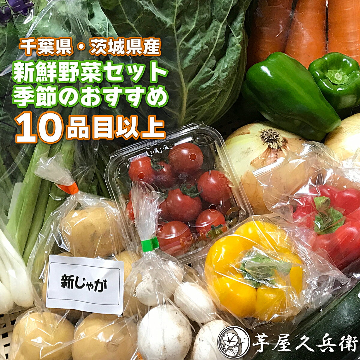 【千葉県・茨城県産】旬 詰め合わせ野菜セット 10品目以上 産直 産地直送 国産 ギフト 新鮮 採れたて ..