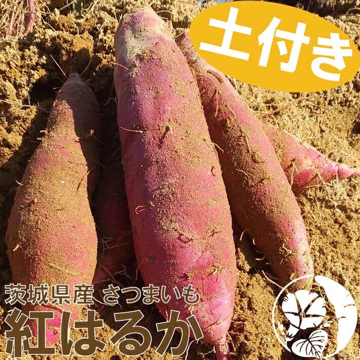 【土付き】訳あり 茨城県産 紅はるか さつまいも S,Mサイズ 5kg 送料無料 サツマイモ まとめ買い セットのサムネイル