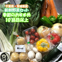 【あす楽】千葉県産・茨城県産 旬 詰め合わせ野菜セット 10品目以上 産直 産地直送...