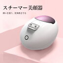 スチーマー フェイススチーマー 美顔器 ミスト 毛穴 スチーム フェイシャルスチーマー ホット クール エステ 保湿 スキンケア アロマオイル対応 大容量給水タ...