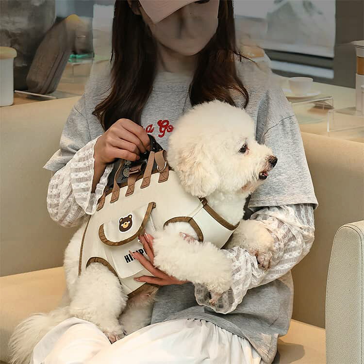 犬用 キャリーハーネス 抱っこ紐 小型犬 4WAY ペットキャリー リード付き 猫 横抱き 手提げ 肩掛け 斜め掛け 抱っこバッグ 通気性 メッシュ 犬用 前抱き サイズ調節 おんぶ 通院 介護 シニア犬 散歩 旅行 linkage-10015659 Linkage楽天市場店 サンプル画像3