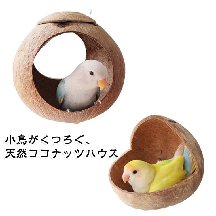 ココナッツ 巣箱 天然素材 小鳥用 ココナッツ ココナッツハウス バードハウス ネジ...
