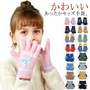 手袋 キッズ ふわふわ もこもこ 子供 手袋 五本指 冬用 冬 暖かい 防風 防寒 子供用グローブ 男の子 女の子 自転車 通園 通学 ジュニア あったか手袋 ストレッチ 子ども 星柄 恐竜柄 サメ柄 くま柄 かわいい クリスマスプレゼント 小学生