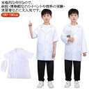 ハロウィン コスプレ 仮装 白衣 ドクター 制服 ナース服 白衣 女医 医者 コスチューム ハロウィン 仮装 可愛い コスチューム 白衣 男性 医者 男性用 メ...