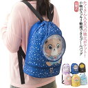 プールバッグ リュック リュック型 男の子 女の子 プールバッグ 女の子 ナップサック 2層式 キッズ おしゃれ 子供 ビーチバッグ プールバック スイムバッグ プール 水泳 スイミング バッグ 小学生 低学年 小学校 女子 透明 送料無料