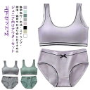 上下セット*2 パンツ リブ ガールズ レディース ジュニアブラ ジュニア下着セット ショーツ パッド付き 送料無料 カップ付き 大人 女の子 ブラジャー イン...