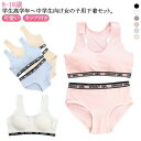 上下セット キッズ 子供 ブラジャー ショーツ ジュニア 下着セット パッド付き ブラジャー カップ付き 大人 女の子 パンツ 肌着 インナー アンダーウェア ...