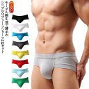 ブリーフショーツ セクシー メンズ 男性下着 シンプル ビキニブリーフ 2枚組 男性用下着 ブリーフ メンズ 前閉じ ローライズ ビキニ ビキニブリーフ ブリーフパンツ Tバック セクシー おしゃれ インナー 男性水着 ビキニショーツ ブリーフショーツ ビキニ水着 肌着 紳士