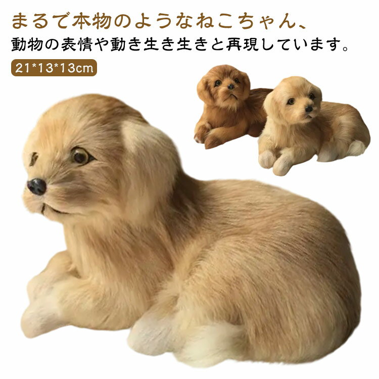 楽天市場】ゴールデンレトリバー ぬいぐるみ 大の通販