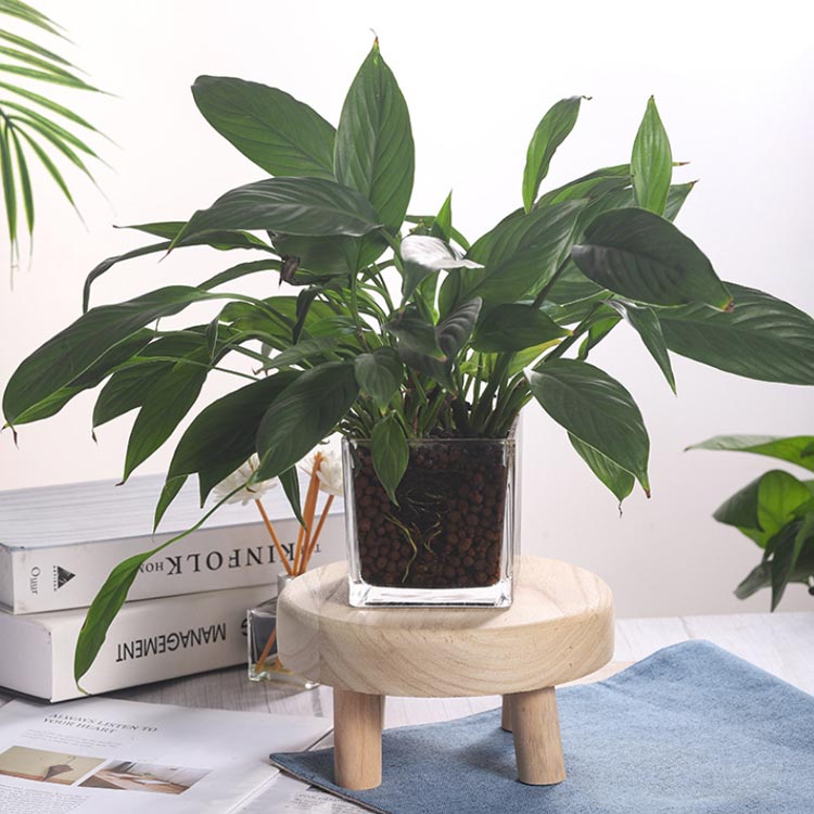 ����̵�� ���ġ��� ���� �Ҷ� �ػ� ������� �ߥ˥��ġ��� ������ ���åɥ��ġ��� �ݰػ� �Ҷ��� ���� ���襤�� ŷ���� ̵���� ���� �ߥ˥ơ��֥� �㤤�ػ� �Ļ� ���å�