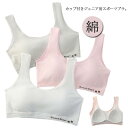 送料無料 ブラジャー ハーフトップ ジュニアブラ キッズ パッド付き 小学生 肌着 女の子 子供服 インナー スポーツブラ ノンワイヤー ジュニア 女児 ガールズ ファーストブラ アンダーウェア 綿 コットン 無地 下着