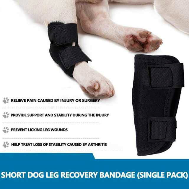 Linkage楽天市場店の2個入り 床ずれ予防サポーター 犬用 介護用品 サポーター ペット 歩行補助 老犬 シニア 介護 老犬介護 犬骨折治療 ペット用品 高齢犬 犬用膝サポーター 肘当て 小型犬 中型犬 大型犬 犬 立ち上がり 関節サポーター 装着簡単 ギフト 送料無料｜アングル3
