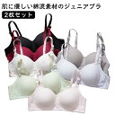 ノンワイヤーブラ シームレスブラ ノンワイヤー ブラジャー レディース ひびきにくい ノンワイヤーブラジャー 吸汗 下着 ブラ 夏 快適 tシャツブラ インナー...