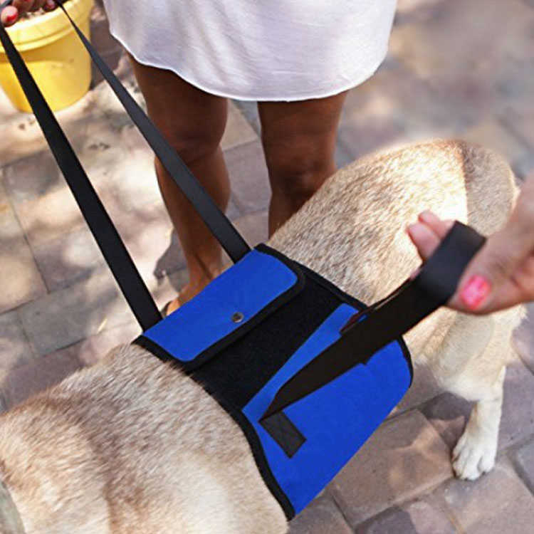 �ɥå���եȥϡ��ͥ� �ϡ��ͥ� �ɥå���եȥϡ��ͥ� ������ �� ���ݡ��� �������� �緿�� Ϸ������� ��� �������ϡ��ͥ� �淿�� Ϸ�� ����̵�� �ڥå����� �ڥåȥ��å� ������ ��ϥӥ� ������� ����ѥϡ��ͥ� �л� ����