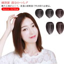 部分ウィッグ 人毛 25cm 15cm 部分ウィッグ ポイントウィッグ ウィッグ かつら 自然 人毛 白髪かくし トップカバー 女性 レディース つむじ付き つ...