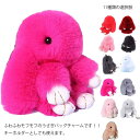 ファー ウサギ 柔らか 全11色 バッグチャーム 縫いぐるみ キーリング 垂れ耳 全11色 チャーム ふわふわ 母の日 記念日 卒業式 生日 バレンタインデー