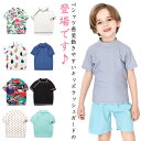 ラッシュガード キッズ 半袖 Tシャツ 小学生 男の子 女の子 水着 100 110 120 130 140 150 トップス 袖あり 袖付き 上着 uv 日焼...