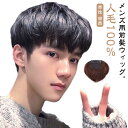 男性 前髪ウィッグ 自然 メンズ 人毛 部分ウィッグ 総手植え ウィッグ ボリュームアップ ポイントウィッグ 送料無料 医療用 ダークブラウン ナチュラル デイ...