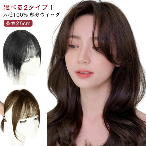 ウィッグ 部分ウィッグ 人毛100% ヘアピース ポイントウィッグ トップ ピース トップ カバー 白髪かくし つむじ 頭頂部 カツラ 薄毛隠し ボリューム アップ レディース 女性 前髪付き・なし かつら ショート ストレート ウィッグ 医療用ウィッグ wig 送料無料 ウィッグ 部分ウィッグ 人毛100% ヘアピース ポイントウィッグ トップ ピース トップ カバー 白髪かくし つむじ 頭頂部 カツラ 薄毛隠し ボリューム アップ レディース 女性 前髪付き・なし かつら ショート ストレート ウィッグ 医療用ウィッグ wig 送料無料