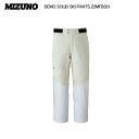 2024-25 MIZUNO(ミズノ)DEMO SOLID SKI PANTS(デモソリッドスキーパンツ)Z2MFB321 -70/シルバーバーチxウェパーグレ...