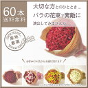 産地直送バラの花束60本(赤・ピンク・白・黄オレンジ) 柳井ダイヤモンドローズバラ 薔薇 薔薇の花束 バラの花束 ギフト プロポーズバラ 100本バラ 60本 バラ 開店祝い 誕生日 記念日 還暦祝い ばら バラ 100本 薔薇