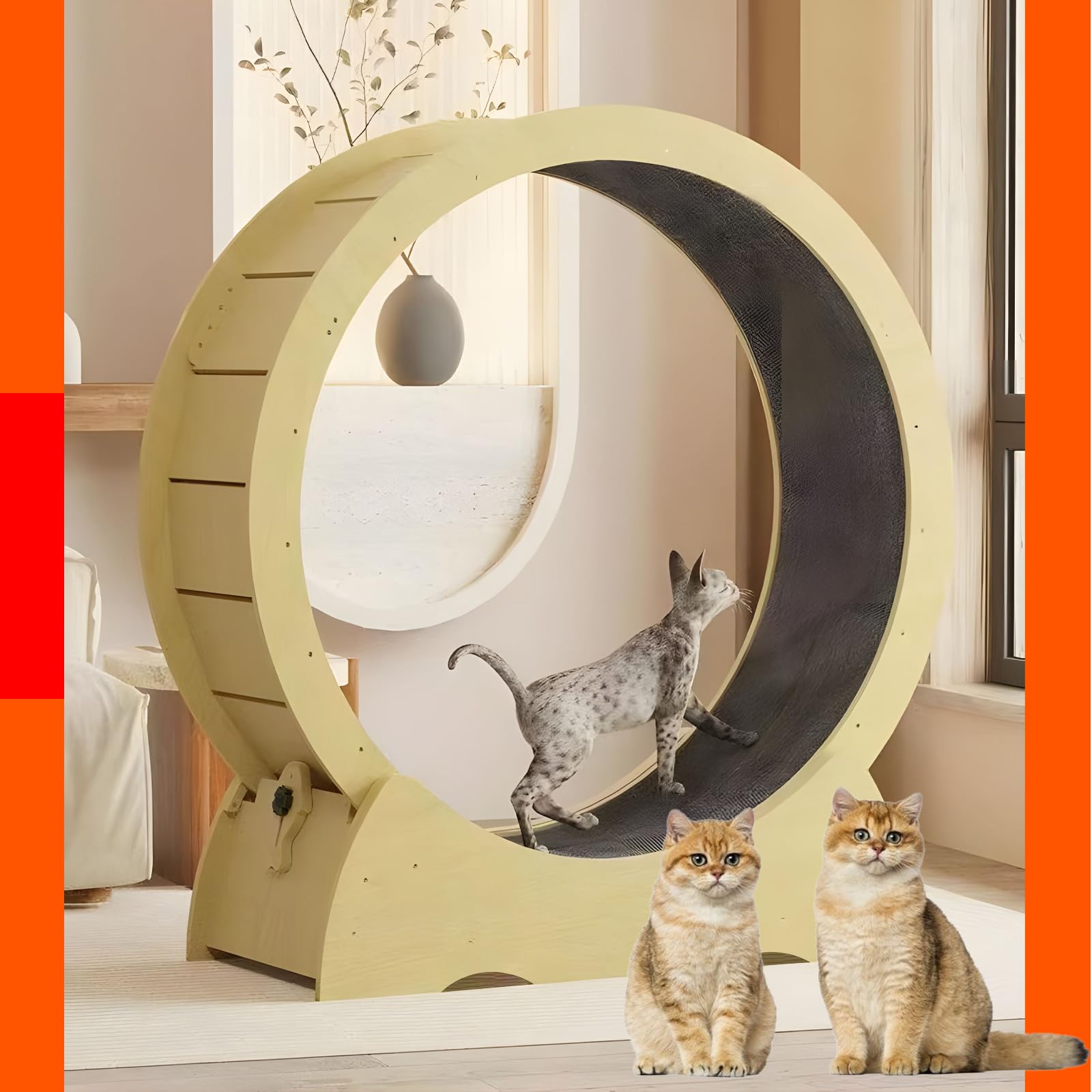 åȥۥ ǭμ ǭ 롼ʡ 󤷼 ǭѲ󤷼 ˥󥰥ޥ 緿  åȥۥ ľ100᡼ȥ ǭ ͥ...