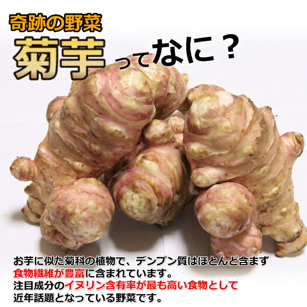 �� �ư� �������� 3kg ���դ� ���������ɤ� ���̥�� Ĺ��� ̵���� ��ʪ���� �����ѡ��ա��� �������� Ĳ��Ķ� ������