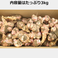 生菊芋キクイモ3kg土付き日持ちが良いイヌリン長野県産食物繊維スーパーフード血糖値中性脂肪栄養素