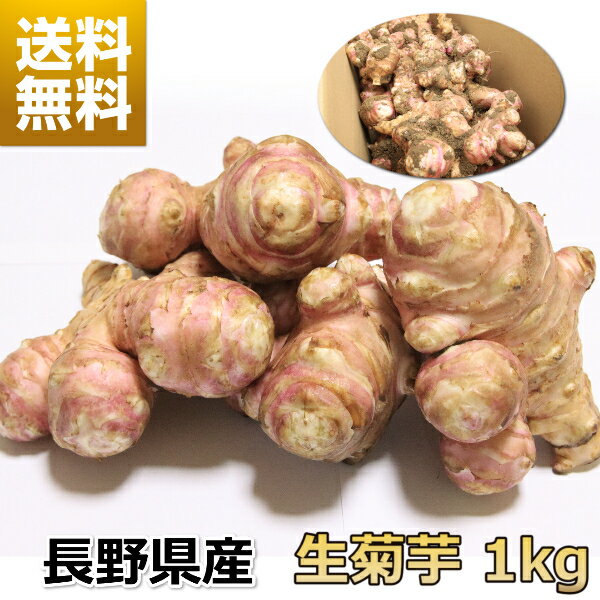 ＼本日当店P5倍＆対象商品30%オフクーポン発行中／ 生 菊芋 キクイモ 1kg 土付き 日持ちが良い イヌリン 長野県産 無添加 食物繊維 スーパーフード 血糖値 中性脂肪 栄養素