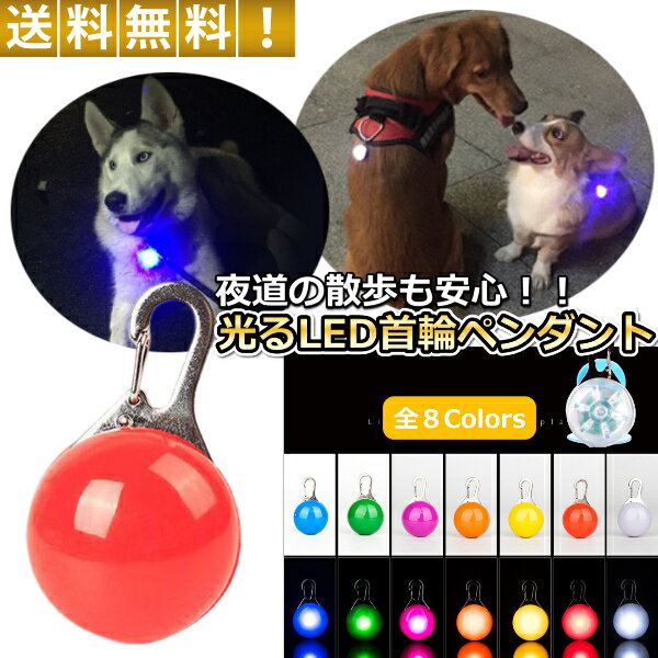 光る首輪 犬用 レインボー LED ペン